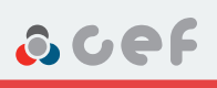 Compre Latiguillos de freno de marca CEF online Buy