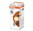 Compre Lâmpada, pisca da OSRAM a um preço baixo por 1,01&nbsp;&euro;