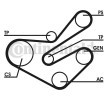 Compre Jogo de correias trapezoidais estriadas da CONTITECH a um preço baixo por 123,86&nbsp;&euro;