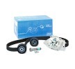 Compre Bomba de água + kit de correia dentada da SKF a um preço baixo por 79,72&nbsp;&euro;
