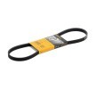 Compre Correia trapezoidal estriada da CONTITECH a um preço baixo por 8,20&nbsp;&euro;