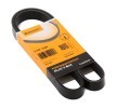 Compre Correia trapezoidal estriada da CONTITECH a um preço baixo por 12,50&nbsp;&euro;