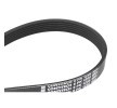 Compre Correia trapezoidal estriada da CONTITECH a um preço baixo por 12,82&nbsp;&euro;