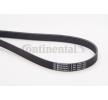 Compre Correia trapezoidal estriada da CONTITECH a um preço baixo por 19,52&nbsp;&euro;