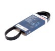 Compre Correia trapezoidal estriada da BOSCH a um preço baixo por 9,01&nbsp;&euro;