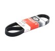 Compre Correia trapezoidal estriada da GATES a um preço baixo por 12,11&nbsp;&euro;