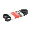 Compre Correia trapezoidal estriada da GATES a um preço baixo por 11,69&nbsp;&euro;