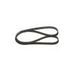 Compre Correia trapezoidal estriada da BOSCH a um preço baixo por 18,01&nbsp;&euro;