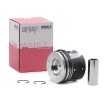 Compre Êmbolo da MAHLE ORIGINAL a um preço baixo por 100,58&nbsp;&euro;