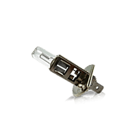 Rundumkennleuchtenglühlampe