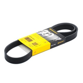 Compre Correia trapezoidal estriada da CONTITECH 6PK1070 a um preço baixo por 13,76 €