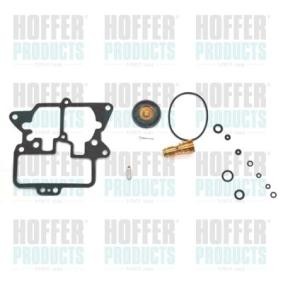 Compre Jogo de reparação, carburador da HOFFER N750 a um preço baixo por 26,61 €