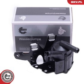 Zusatzwasserpumpe 22SKV036