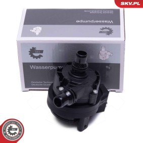Zusatzwasserpumpe 22SKV039