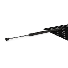 Heckklappendämpfer 219G0108