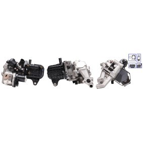 AGR Kühler 717730158 PEUGEOT von DRI