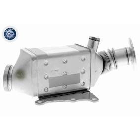 AGR Kühler V24-63-0025 JEEP von VEMO