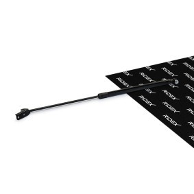 Heckklappendämpfer von RIDEX 219G0595