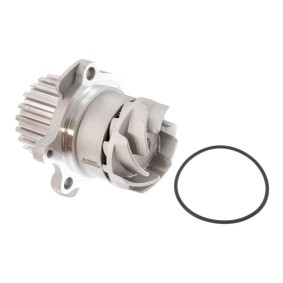 Osta Vesipumppu MASTER-SPORT:llä 622-N-PR-PCS-MS edullisesti hintaan 21,90 €