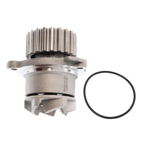 Osta Vesipumppu MASTER-SPORT:llä 622-PR-PCS-MS edullisesti hintaan 24,11 €