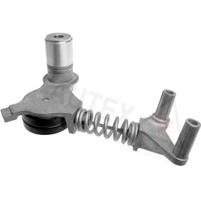 Acquista Braccio tenditore, Cinghia Poly-V da AUTEX 654408 a buon mercato per soli 64,17 €