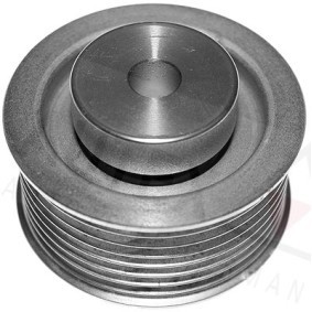 Compre Polia de desvio / de guia, correia trapezoidal estriada da AUTEX 654643 a um preço baixo por 73,75 €