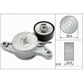 Acquista Braccio tenditore, Cinghia Poly-V da AUTEX 655041 a buon mercato per soli 52,06 €