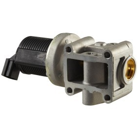 AGR-Ventil 6NU 010 171-401 für CADILLAC