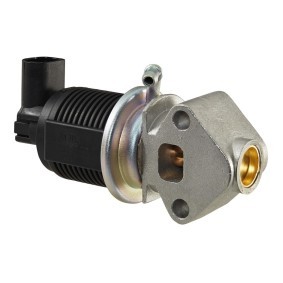AGR-Ventil 6NU 010 171-431 für VW