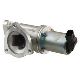 AGR-Ventil 6NU 010 171-531 für KIA