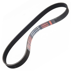 Acquista Cinghia servizi da MASTER-SPORT 6PK820-PCS-MS a buon mercato per soli 8,72 €