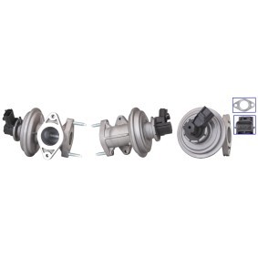 Acquista Valvola EGR da ELSTOCK 71-0194 a buon mercato per soli 138,48 €