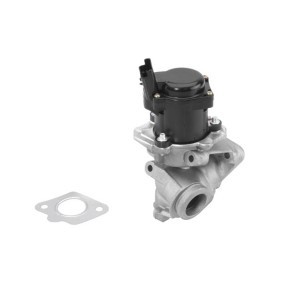 Acquista Valvola EGR da WAHLER 710929R a buon mercato per soli 142,31 €