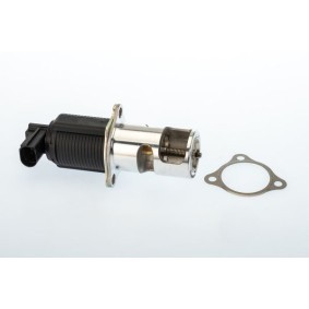 Acquista Valvola EGR da WAHLER 710950R a buon mercato per soli 137,54 €
