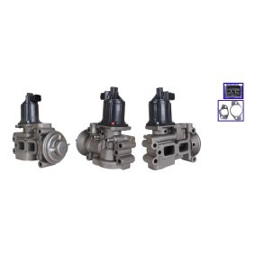 Acquista Valvola EGR da DRI 717730230 a buon mercato per soli 418,66 €