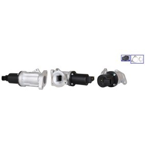 Acquista Valvola EGR da ELSTOCK 72-0220 a buon mercato per soli 163,33 €