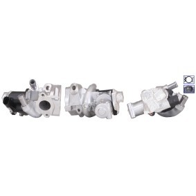 Acquista Valvola EGR da ELSTOCK 73-0191 a buon mercato per soli 244,50 €