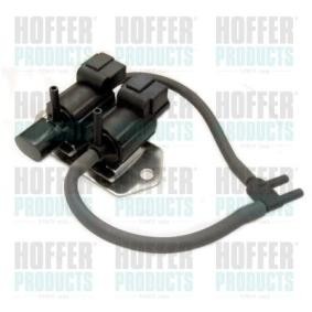 Acquista Convertitore pressione da HOFFER 8029453 a buon mercato per soli 105,21 €