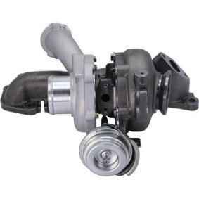 Turbolader 807101002500 CADILLAC von MAGNETI MARELLI