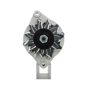 JAGUAR Lichtmaschine von BV PSH