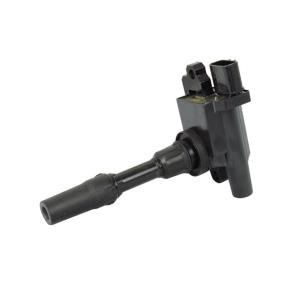Comprar Bobina de encendido de SIDAT 85.30267 a bajo precio de 103,50 €
