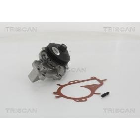 Köp Vattenpump av TRISCAN 8600 10081 till det låga priset 1511,13 kr