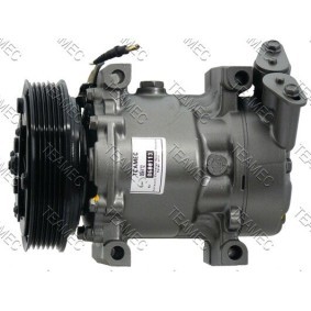 Klimakompressor 8600113