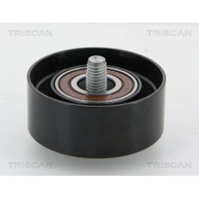 Compre Polia de desvio / de guia, correia trapezoidal estriada da TRISCAN 8641 232031 a um preço baixo por 46,64 €
