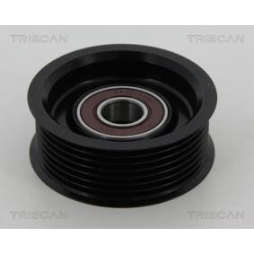 Compre Polia de desvio / de guia, correia trapezoidal estriada da TRISCAN 8641 402004 a um preço baixo por 55,88 €