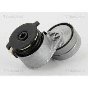 Spannrolle des Herstellers TRISCAN - Originalware Artikelnummer: 8641 693003