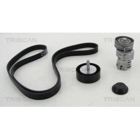 Achetez des Jeu de courroies trapézoïdales à nervures TRISCAN 8642 29024 à prix pour 160,41 €