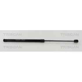 Heckklappendämpfer für MINI von TRISCAN