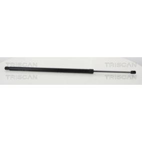 Heckklappendämpfer von TRISCAN günstig für 31,91 €