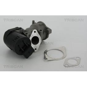 Acquista Valvola EGR da TRISCAN 8813 10001 a buon mercato per soli 180,57 €